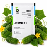 Ogórek gruntowy Atomic F1 nasiona 1000 szt. - BEJO