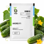 Ogórek gruntowy Akord F1 nasiona 1000 szt. - BEJO