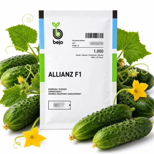 Ogórek gruntowy Allianz F1 nasiona 1000 szt. - BEJO