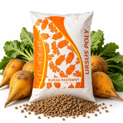 Burak Pastewny Ursus Poly Goliat C/1 nasiona 500g
