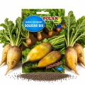 Burak pastewny Solidar Bis nasiona 20g - POLAN