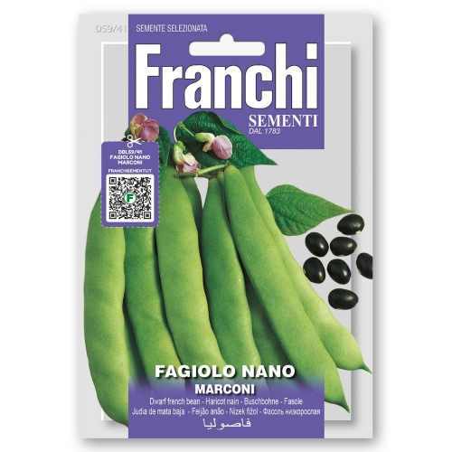 Fasola karłowa Marconi Nano na suche nasiona 50g - FRANCHI