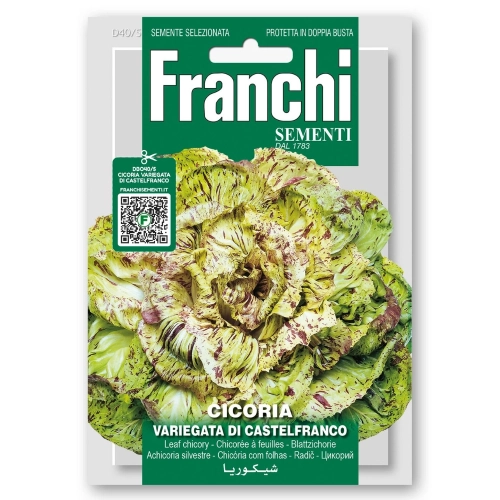Cykoria liściowa Variegata di Castelfranco nasiona 12g - FRANCHI