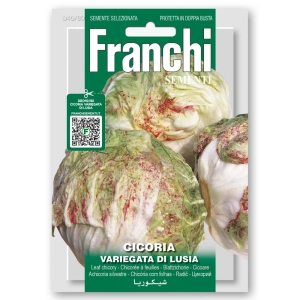 Cykoria Variegata di Lusia nasiona 12g - FRANCHI