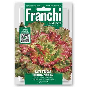 Sałata Biscia Rossa nasiona 12g - FRANCHI
