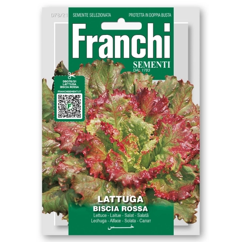 Sałata Biscia Rossa nasiona 12g - FRANCHI