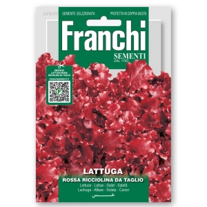 Sałata Rossa a Foglia Riccia da Taglio o czerwonych liściach nasiona 12g - FRANCHI