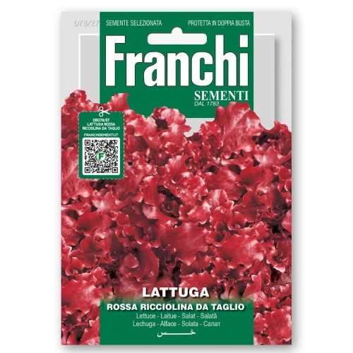 Sałata Rossa a Foglia Riccia da Taglio o czerwonych liściach nasiona 12g - FRANCHI