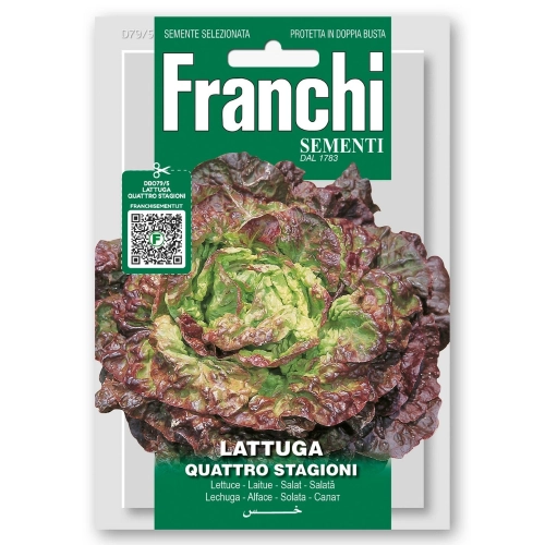 Sałata masłowa Quattro Stagioni nasiona 8g - FRANCHI