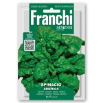 Szpinak Ameryka smaczne liście nasiona 15g - FRANCHI