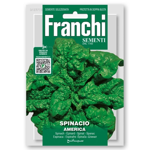 Szpinak Ameryka smaczne liście nasiona 15g - FRANCHI