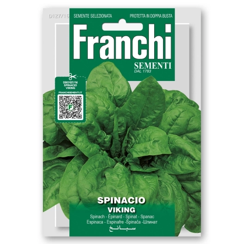 Szpinak Viking duże liście nasiona 15g - FRANCHI