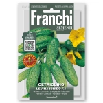Ogórek gruntowy Levina Hybryda F1 nasiona 2g - FRANCHI