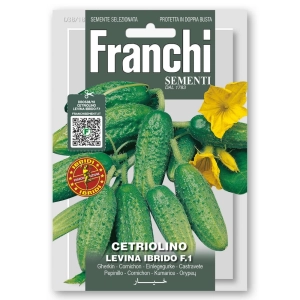 Ogórek gruntowy Levina Hybryda F1 nasiona 2g - FRANCHI