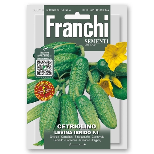 Ogórek gruntowy Levina Hybryda F1 nasiona 2g - FRANCHI