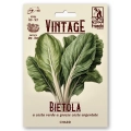 Burak liściowy Swiss Chard White Silver duże liście nasiona 6g - FRANCHI