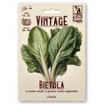 Burak liściowy Swiss Chard White Silver duże liście nasiona 6g - FRANCHI