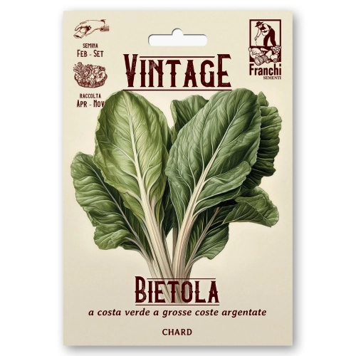 Burak liściowy Swiss Chard White Silver duże liście nasiona 6g - FRANCHI