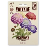 Scabiosa Wielobarwna piękne kolorowe kwiaty nasiona 1g - FRANCHI