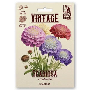 Scabiosa Wielobarwna piękne kolorowe kwiaty nasiona 1g - FRANCHI