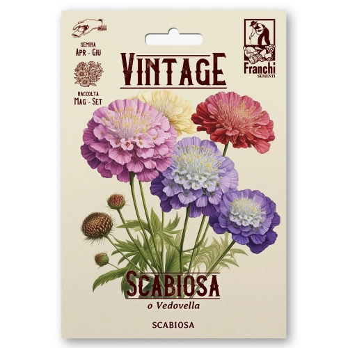 Scabiosa Wielobarwna piękne kolorowe kwiaty nasiona 1g - FRANCHI
