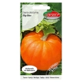 Dynia olbrzymia Big Max nasiona 3g - TORSEED