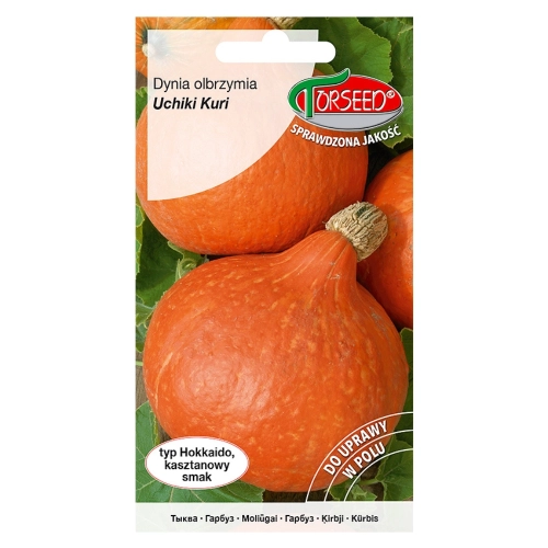 Dynia olbrzymia Uchiki Kuri nasiona 2g - TORSEED