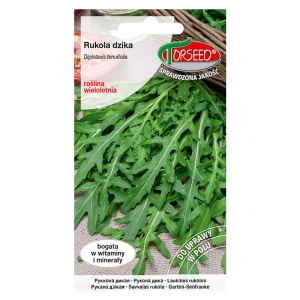 Rukola dzika Diplotaxis tenuifolia nasiona 0,5g - TORSEED