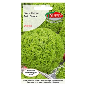 Sałata liściowa do uprawy w polu Lollo Bionda nasiona 0,5g - TORSEED