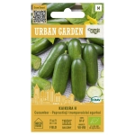 Ogórek sałatkowy ogórek Kaikura H Urban Garden bardzo smaczna odmiana nasiona ekologiczne 5 szt. - Organic Way