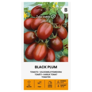 Pomidor Black Plum o smacznych licznych owocach nasiona 0,1 g - Žalia stotelė