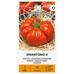 Pomidor Gigantomo H o bardzo dużych owocach nasiona 10 szt. - Žalia stotelė
