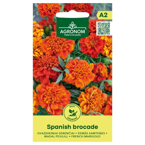 Aksamitka rozpierzchła Spanish Brocade nasiona 0,4g - AGRONOM