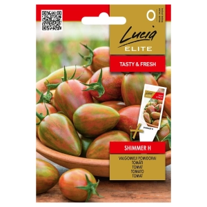 Pomidor Shimmer H odmiana o licznych i smacznych owocach nasiona 10 szt. - Lucia Elite