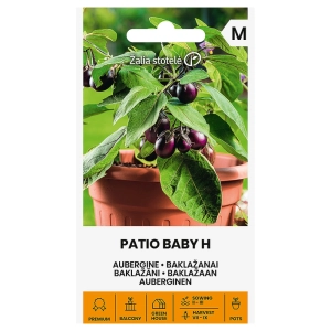 Bakłażan Patio Baby H do uprawy w donicach nasiona 10 szt. - Žalia stotelė