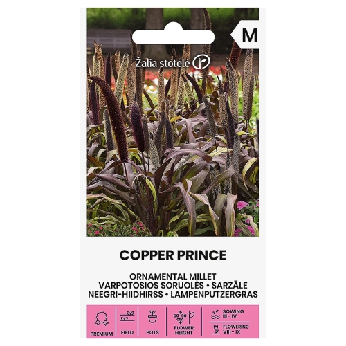 Proso ozdobne Copper Prince H efektowna trawa jednoroczna nasiona 10 szt. - Žalia stotelė