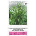 Miłka wdzięczna Elegant Lovegrass nasiona 0,5g - Žalia stotelė