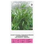 Miłka wdzięczna Elegant Lovegrass nasiona 0,5g - Žalia stotelė