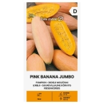 Dynia Pink Banana Jumbo bardzo smaczna odmiana nasiona 2g - Žalia stotelė