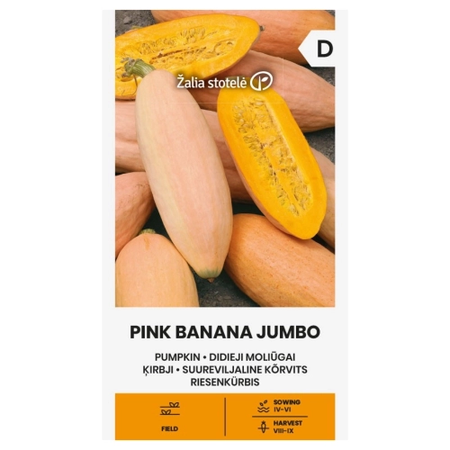 Dynia Pink Banana Jumbo bardzo smaczna odmiana nasiona 2g - Žalia stotelė