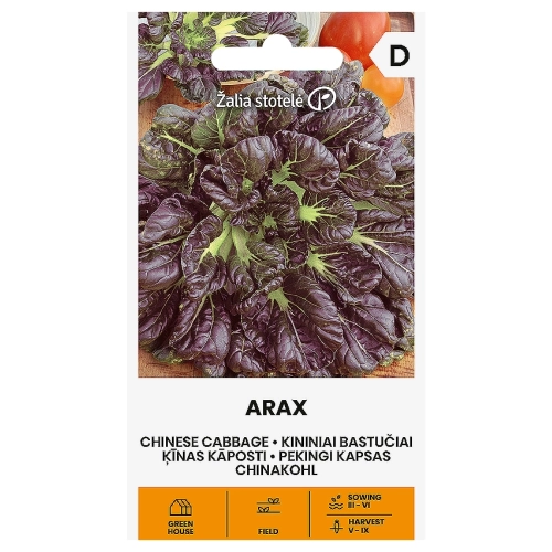Kapusta chińska Arax nasiona 1g - Žalia stotelė