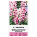 Lwia paszcza Appleblossom odmiana o pięknych kwiatach nasiona 0,5g - Žalia stotelė