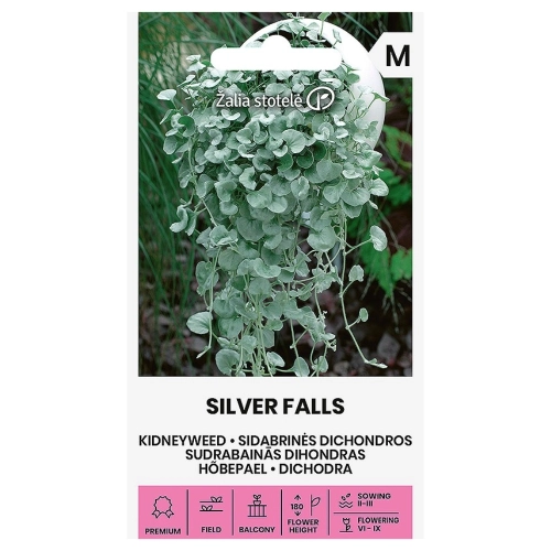 Dichondra Silver Falls odmiana o srebrzystych liściach nasiona 6 szt. - Žalia stotelė