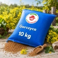 Gorczyca biała na poplon 10 KG pożytek dla pszczół miododajna - REDUM