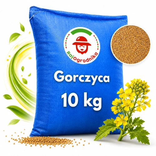 Gorczyca biała na poplon 10 KG pożytek dla pszczół miododajna - REDUM