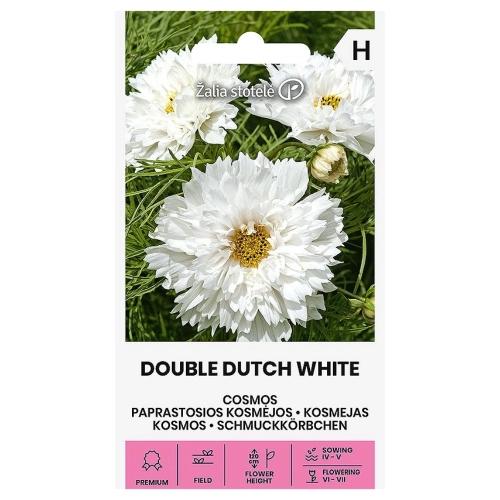 Onętek pierzasty Double Dutch White o pięknych pełnych kwiatach w białym kolorze nasiona 1g - Žalia stotelė