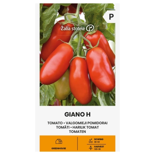 Pomidor Giano H odmiana hybrydowa typu San Marzano o licznych owocach nasiona 10 szt. - Žalia stotelė
