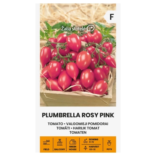 Pomidor Plumbrella Rosy Pink o licznych owocach w malinowym kolorze nasiona 5 szt. - Žalia stotelė