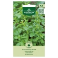 Mięta polej Pennyroyal aromatyczna i mocno kwitnąca nasiona 0,1g - AGRONOM