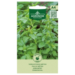 Mięta polej Pennyroyal aromatyczna i mocno kwitnąca nasiona 0,1g - AGRONOM
